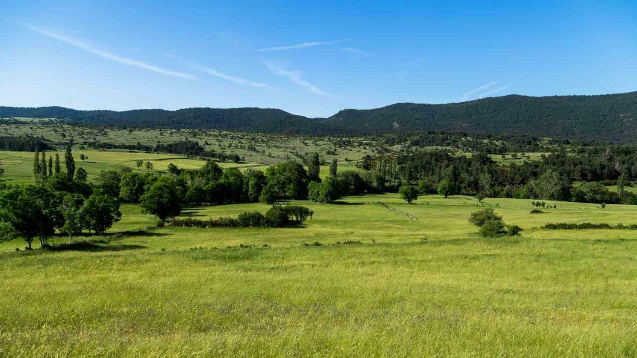 Casa Rural Cal Rossa De Taus Spa Екстериор снимка