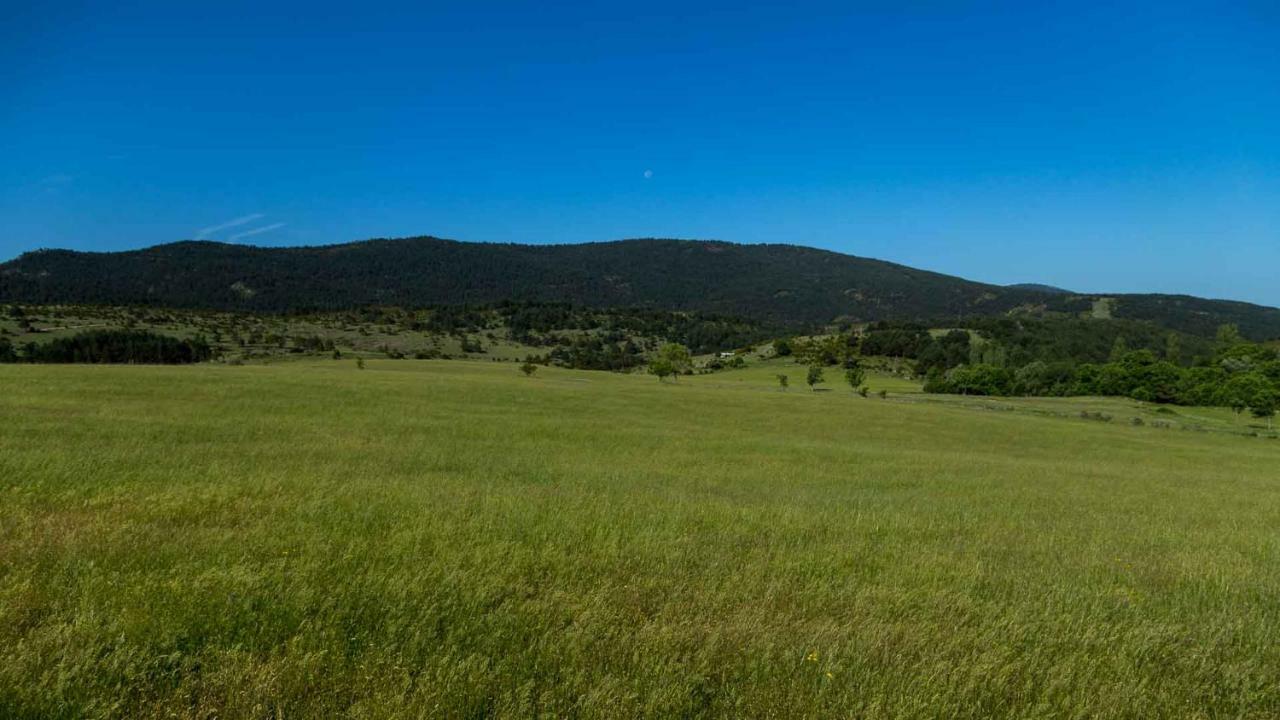 Casa Rural Cal Rossa De Taus Spa Екстериор снимка