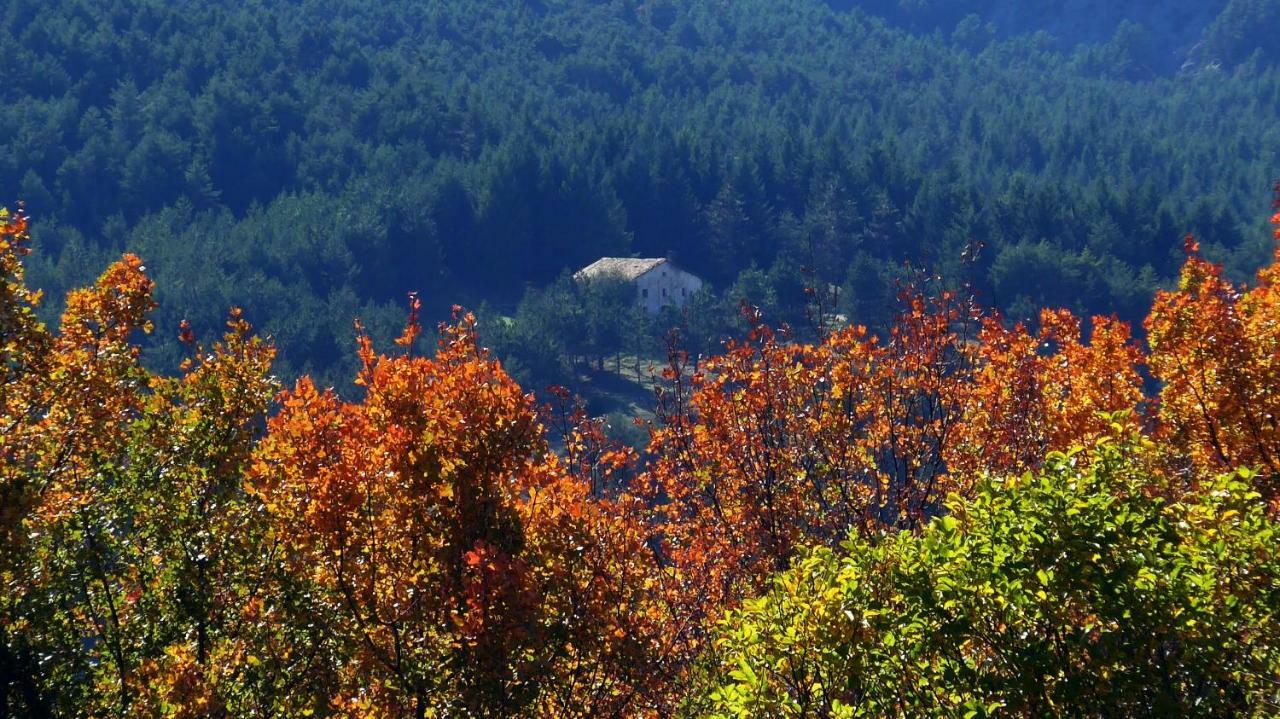 Casa Rural Cal Rossa De Taus Spa Екстериор снимка